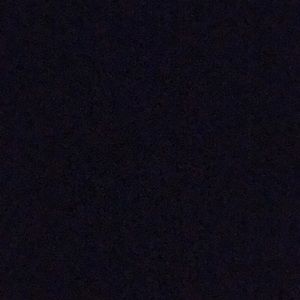 Meet your Posher, Lorynn